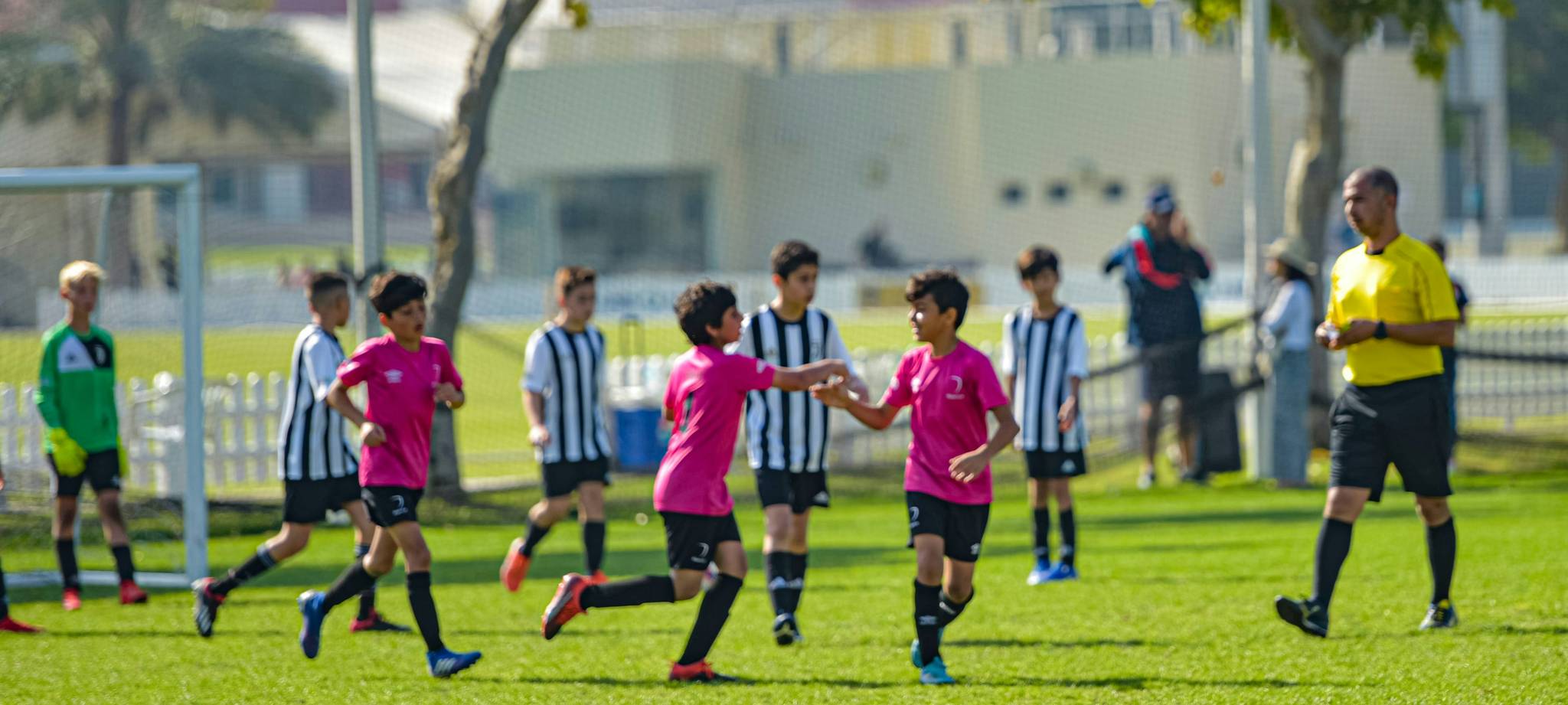 kaiyun开云体育介绍